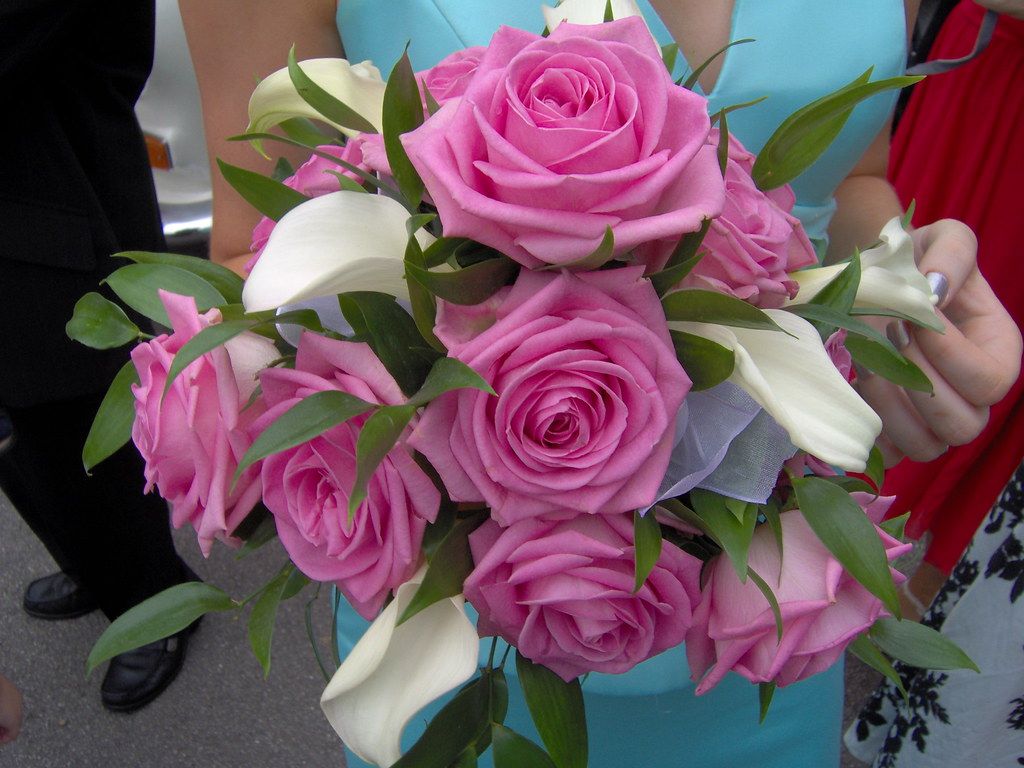 Pink Promise