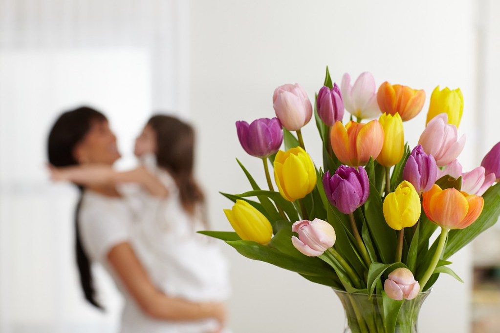 Tulip Morning — foto 3