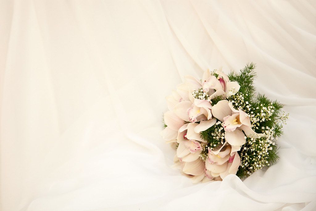 Pure Vow